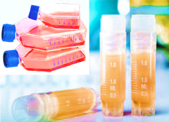 [SK-25CELL-124] Mouse Lung Macrophages